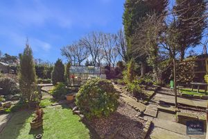 Photo 41- click for photo gallery